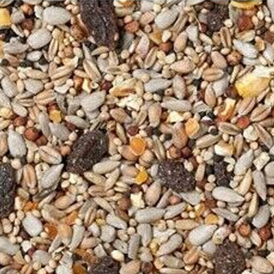 Johnston & Jeff SUPERIOR WILD BIRD FOOD 1KG